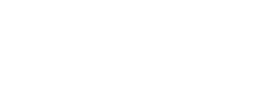 T'Picaste
